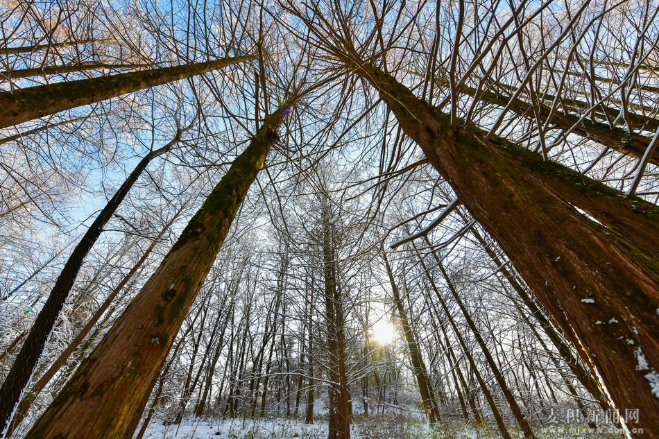 dsc_93571.jpg