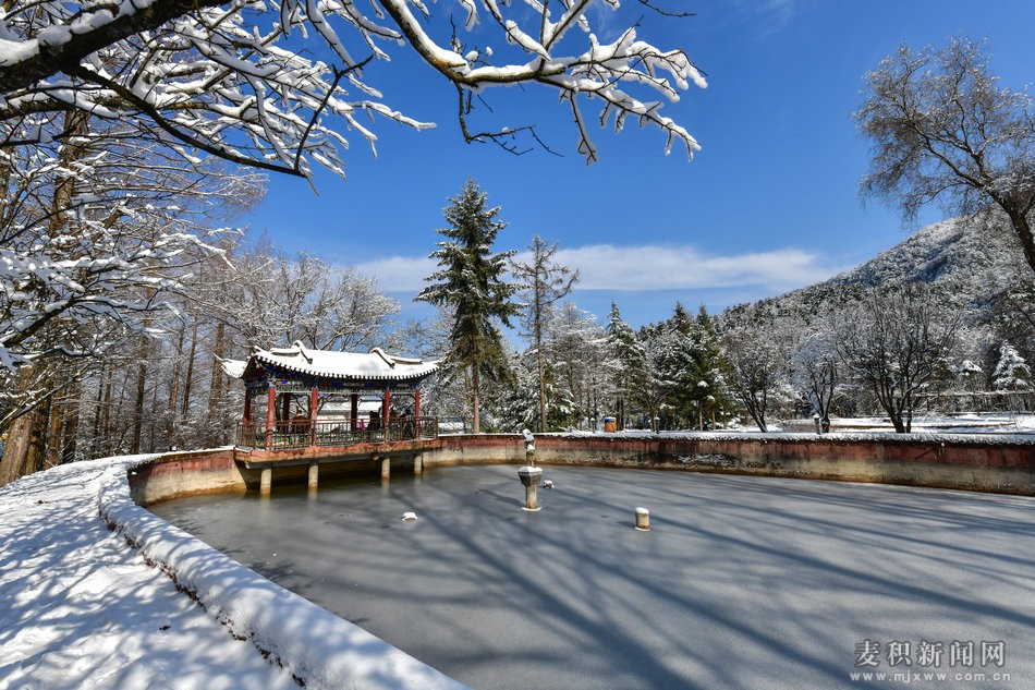 dsc_93711.jpg