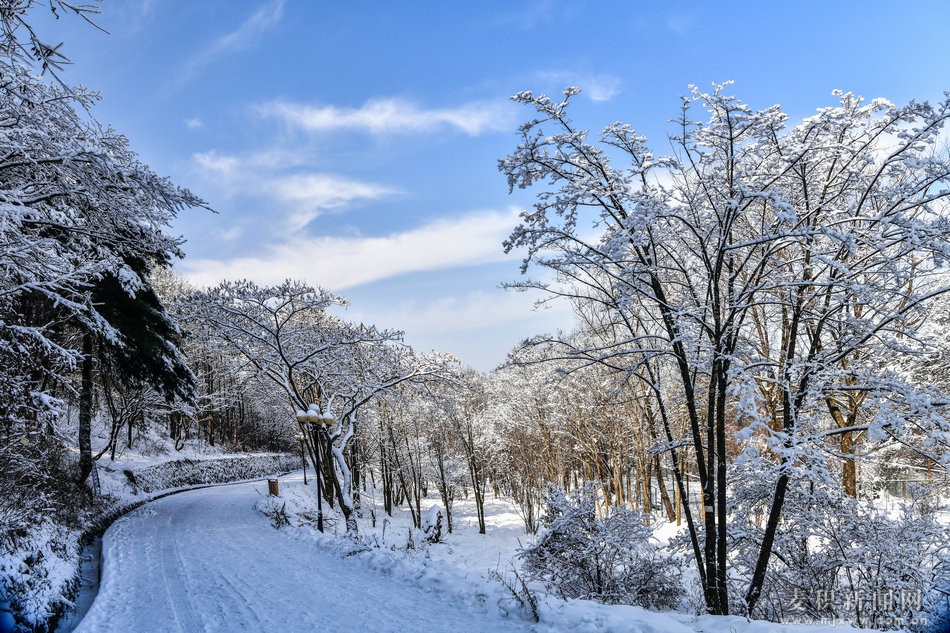 dsc_94141.jpg