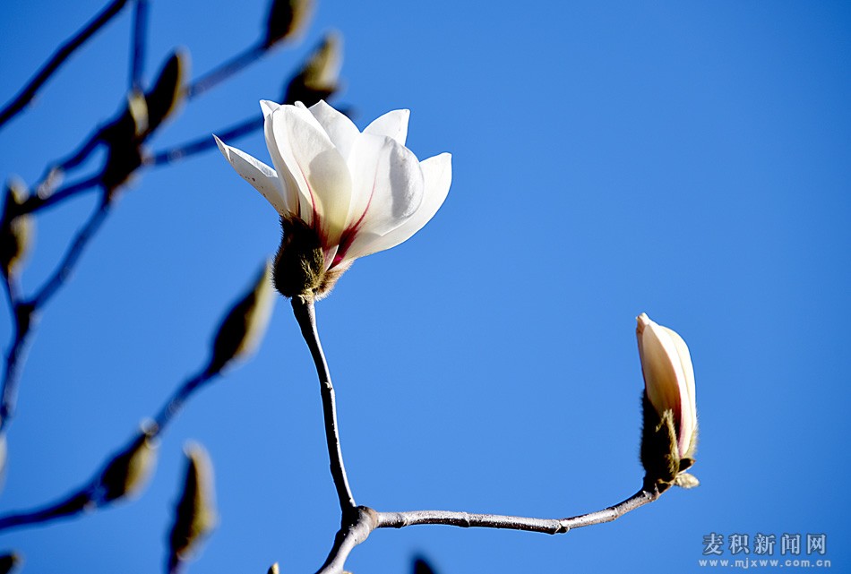 dsc_4640.jpg