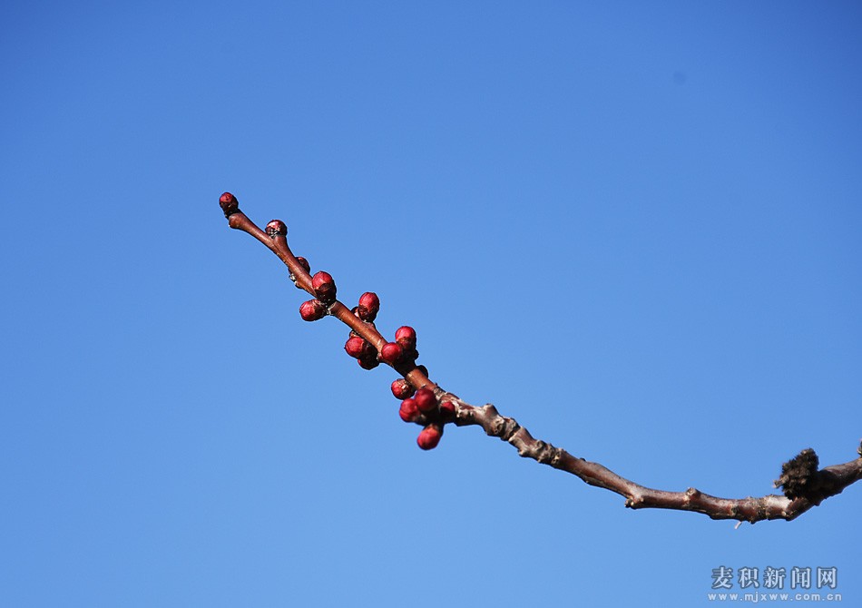 dsc_4660.jpg