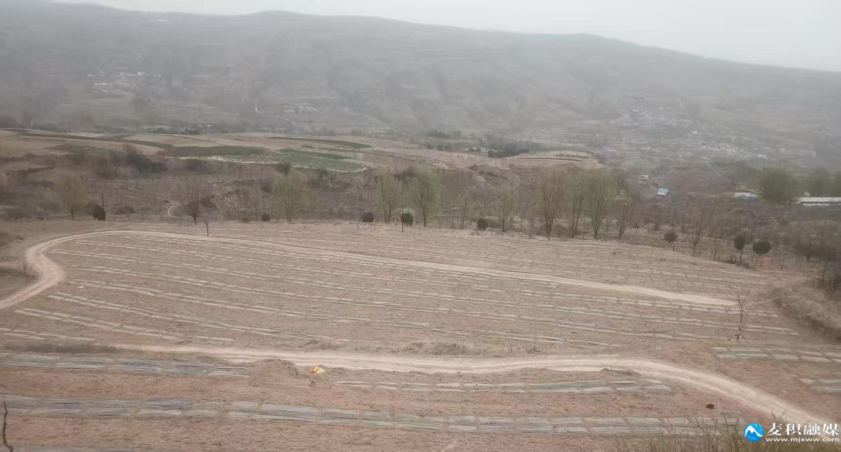 微信图片_20250415092218